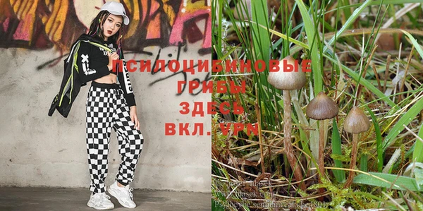 jwh Богородицк