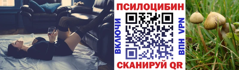 Галлюциногенные грибы MAGIC MUSHROOMS  Дно 